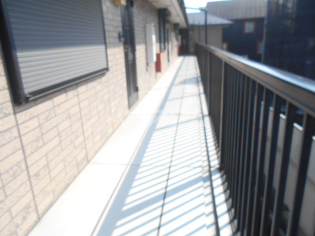 19/29 その他画像