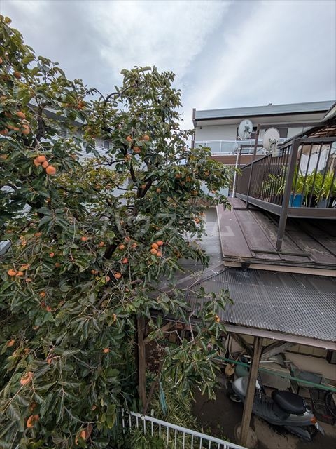 13/25 その他画像