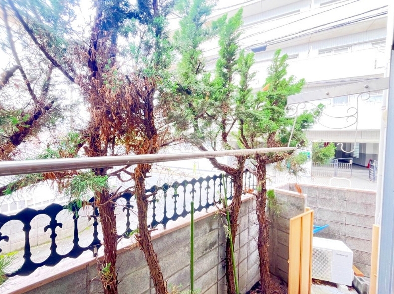 20/30 その他画像