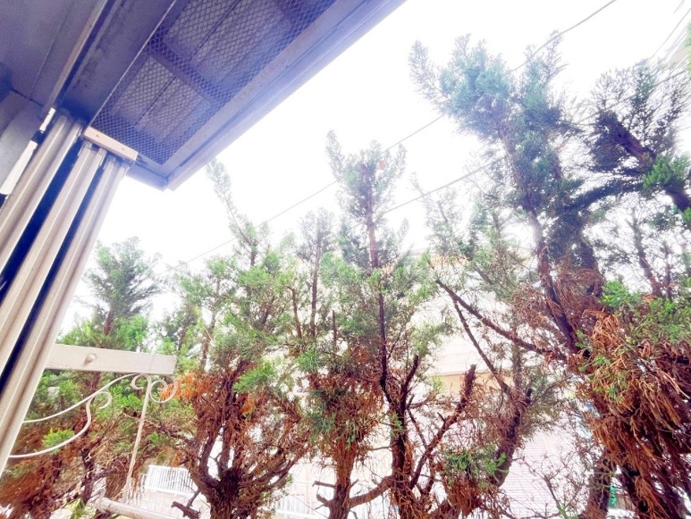 18/30 その他画像