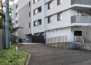 11/24 その他画像