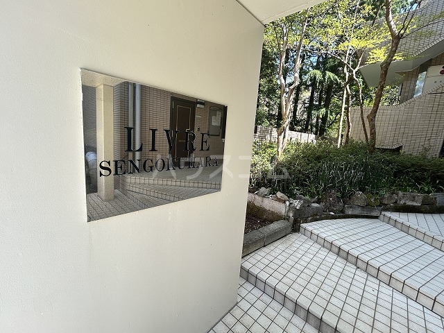 19/25 その他画像