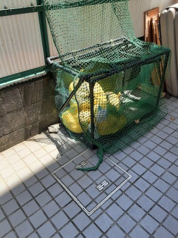 20/24 その他画像