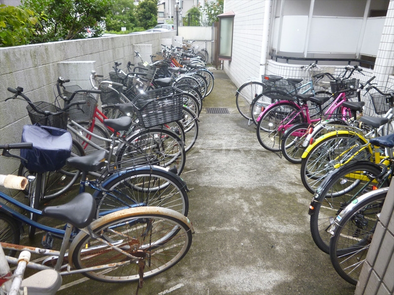 11/14 その他画像