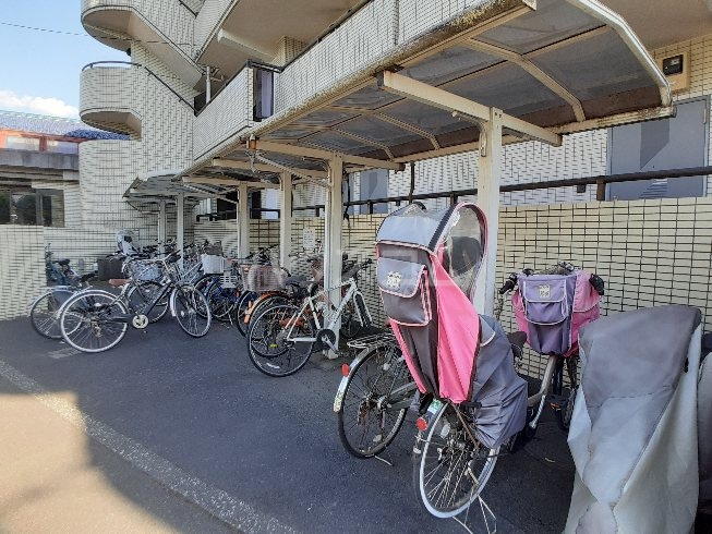 20/30 その他画像