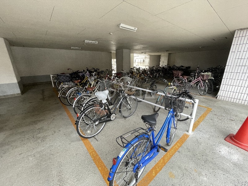 3/15 その他画像