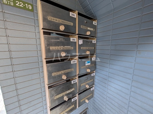 20/30 その他画像