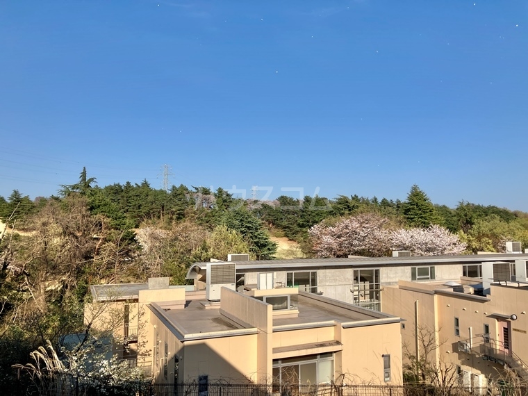 12/19 その他画像