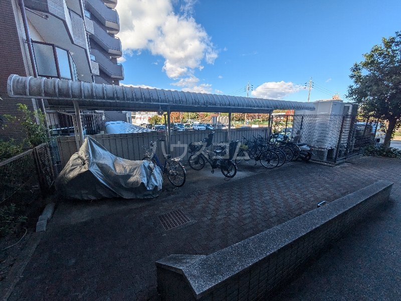 17/25 その他画像