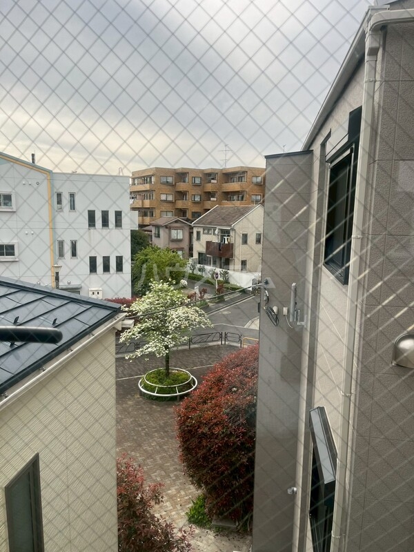 20/30 その他画像