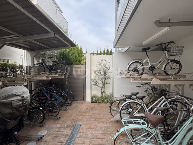 6/16 その他画像