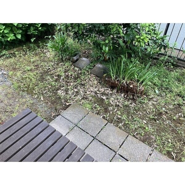 15/19 その他画像