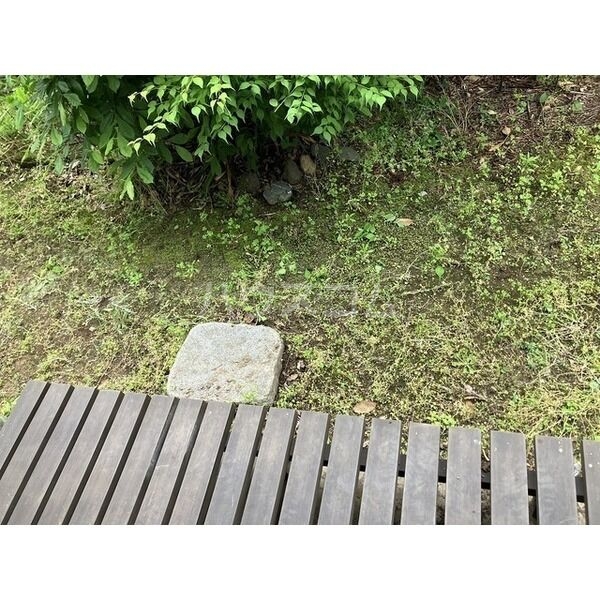 14/19 その他画像