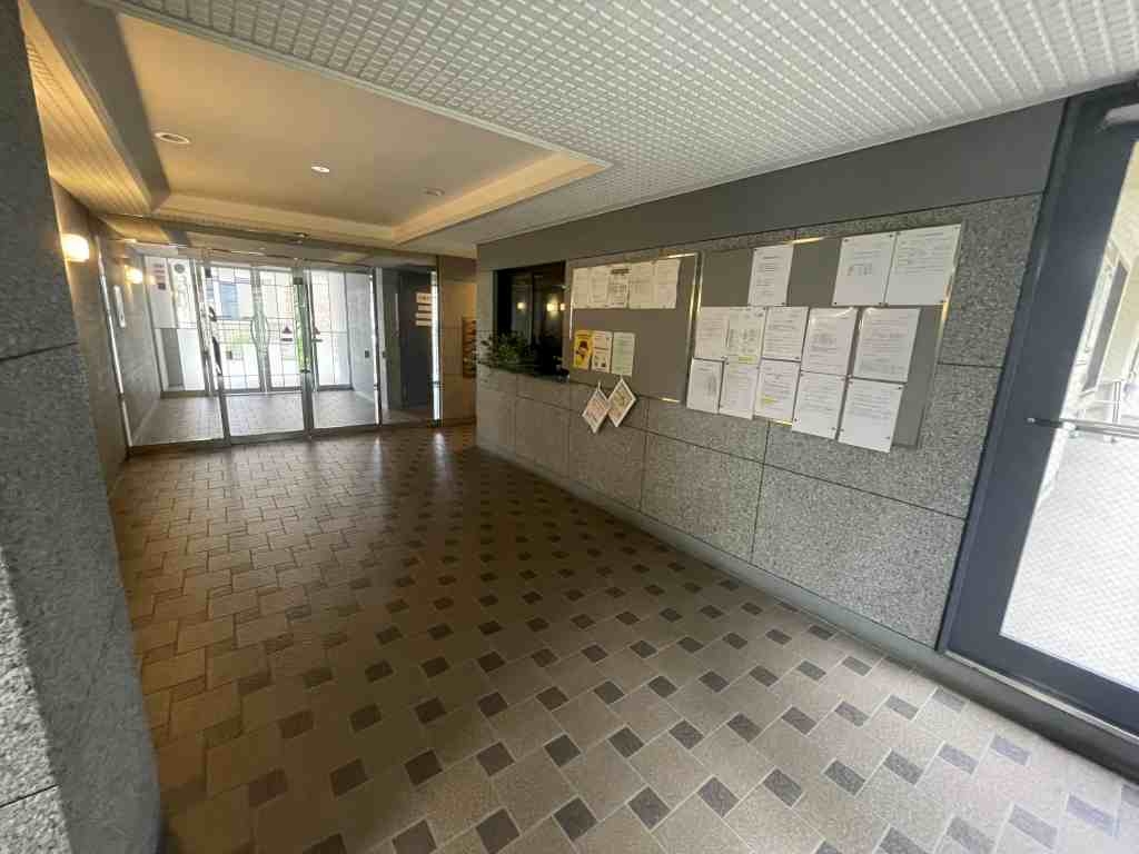 15/19 その他画像