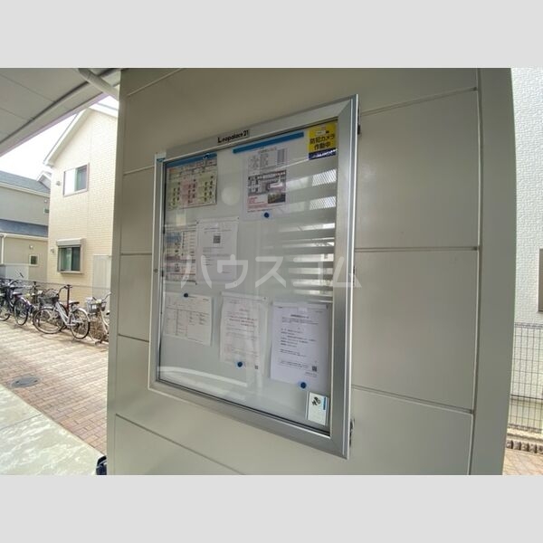 19/29 その他画像