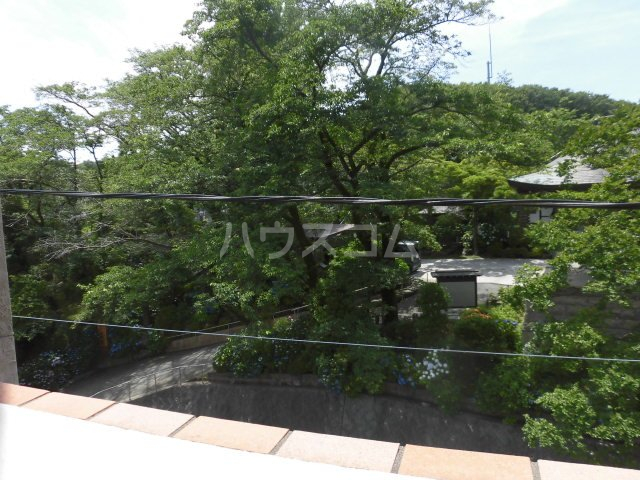 15/29 その他画像