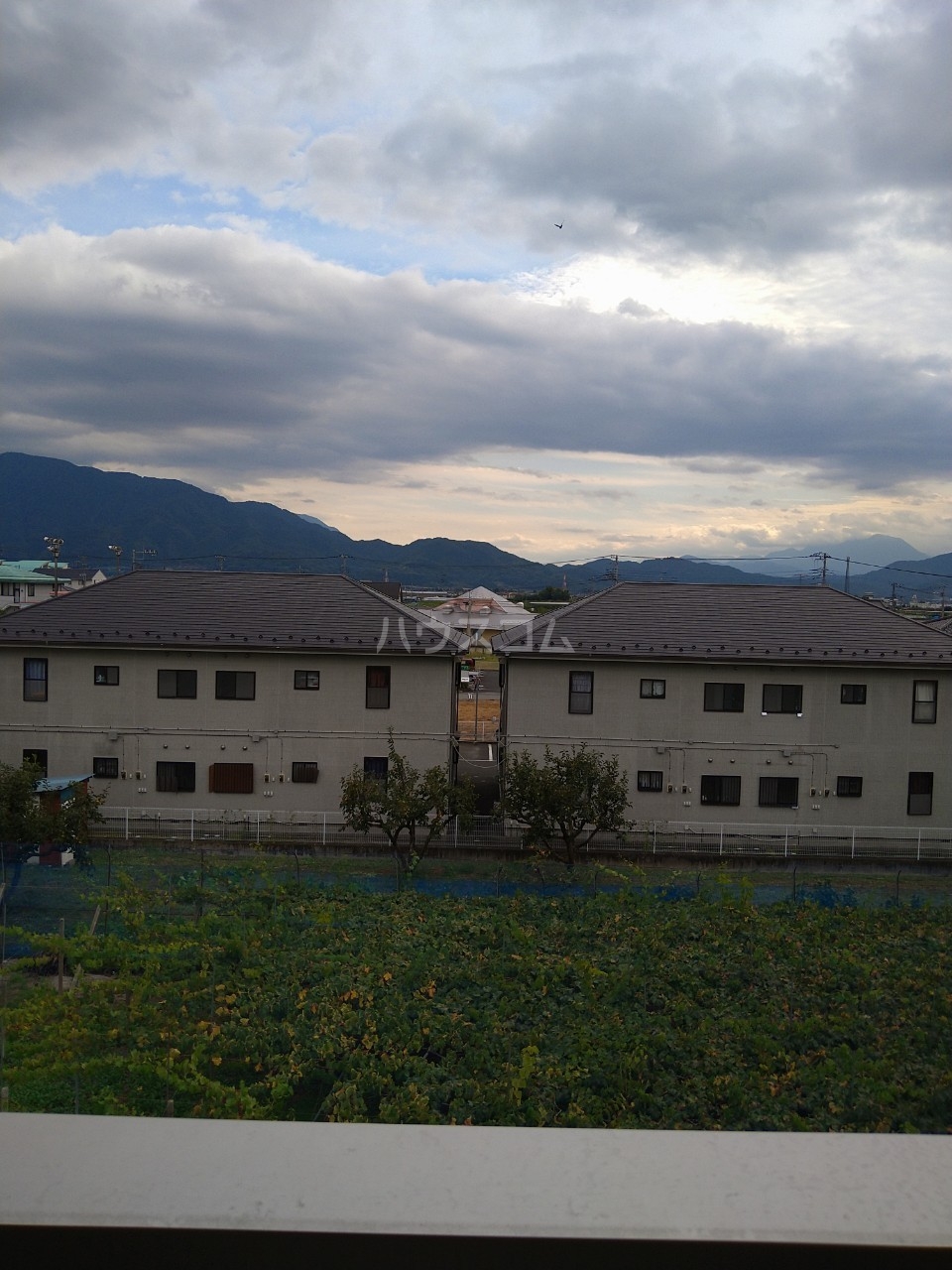 15/23 その他画像