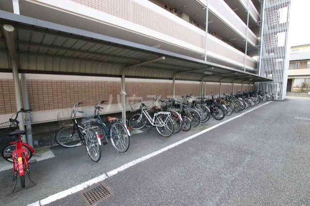 20/30 その他画像