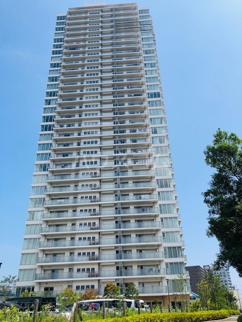 13/17 その他画像