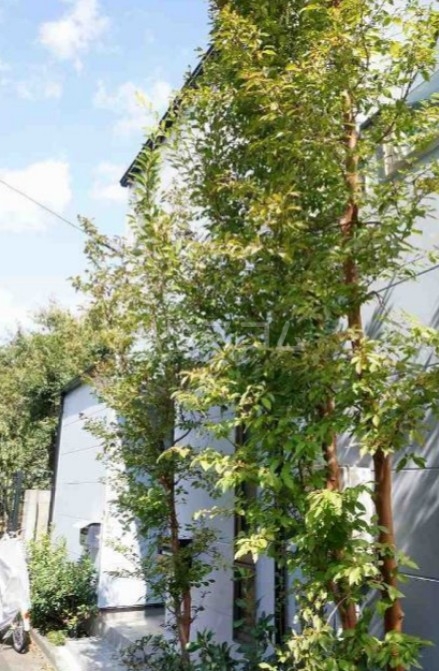 15/26 その他画像