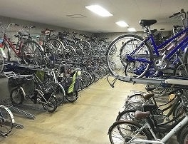 17/25 その他画像