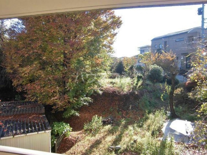 12/13 その他画像