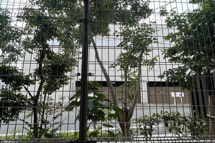 23/30 その他画像