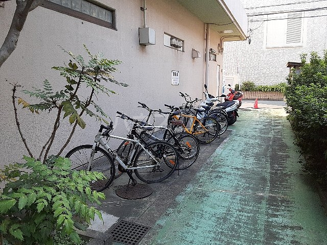 15/23 その他画像