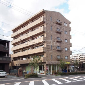 1/15 外観