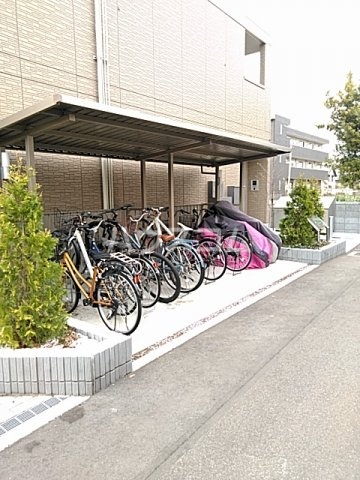 20/30 その他画像