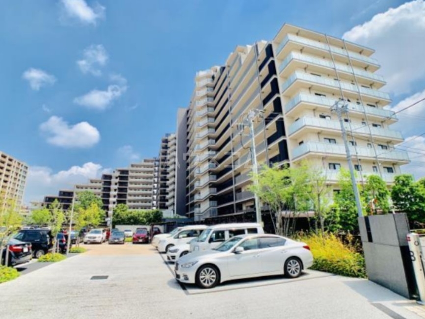 3/15 その他画像