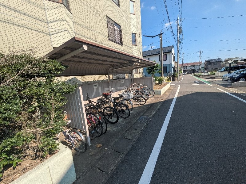 その他画像
