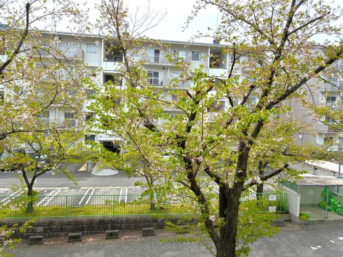 17/26 その他画像