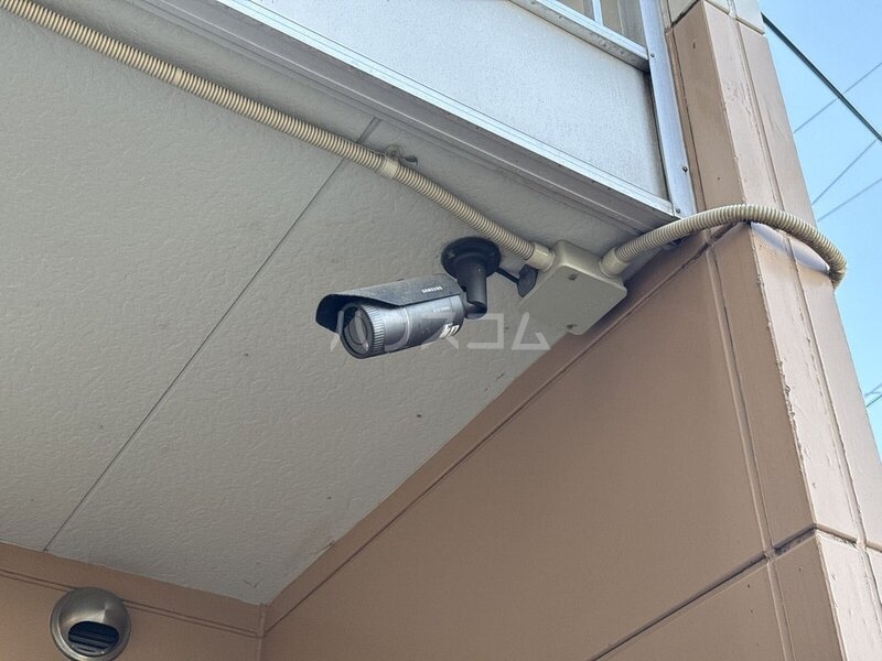 12/29 その他画像