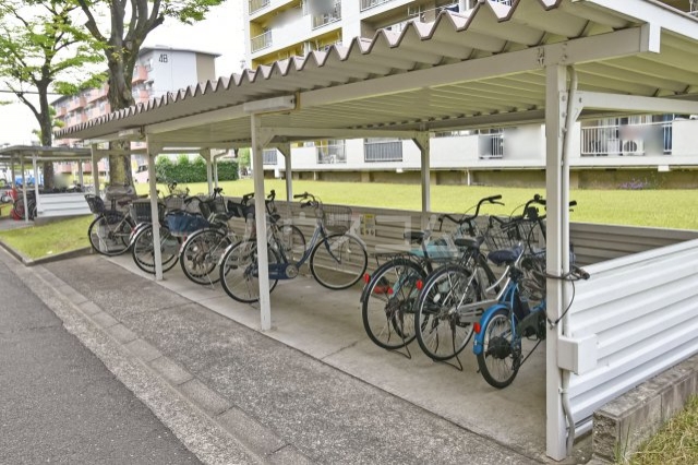 3/13 その他画像