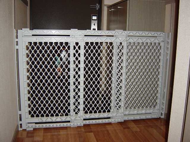 19/25 その他画像