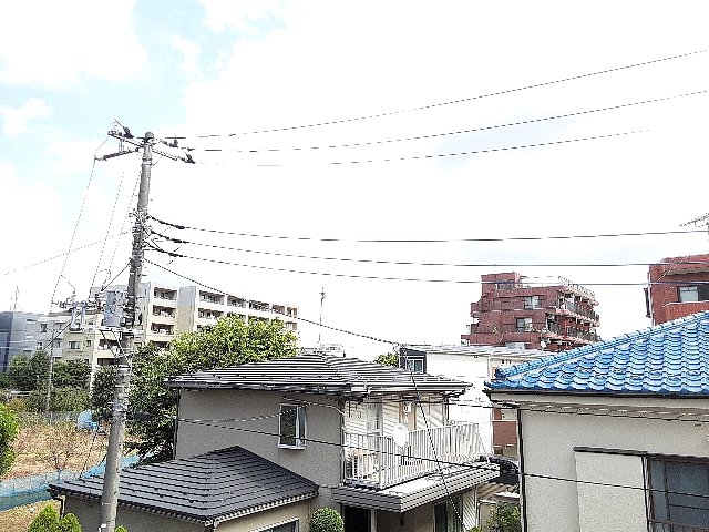 20/30 その他画像