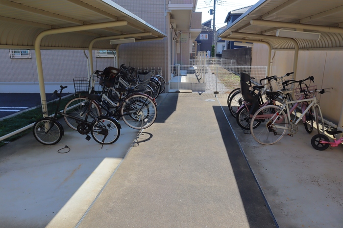 11/26 その他画像