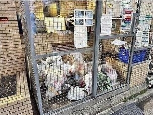 13/15 その他画像