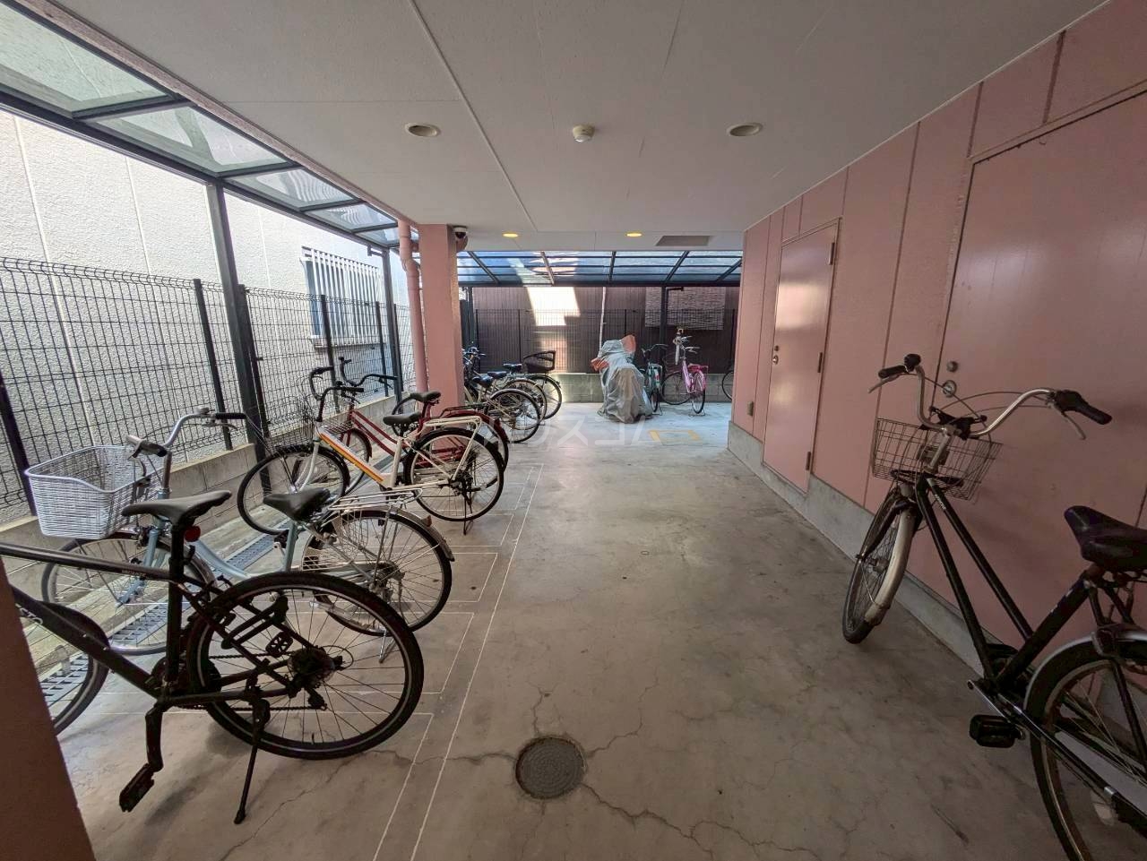 8/17 その他画像