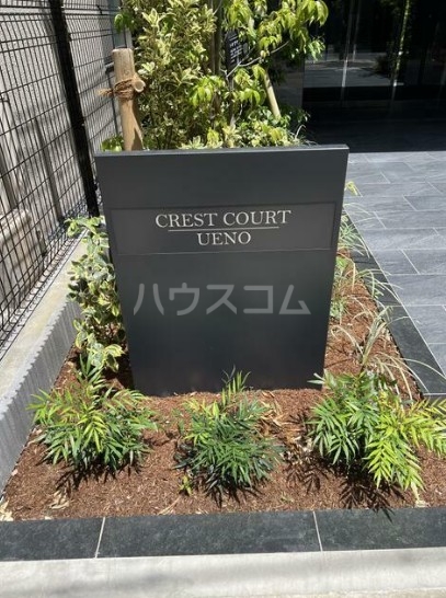 6/16 その他画像