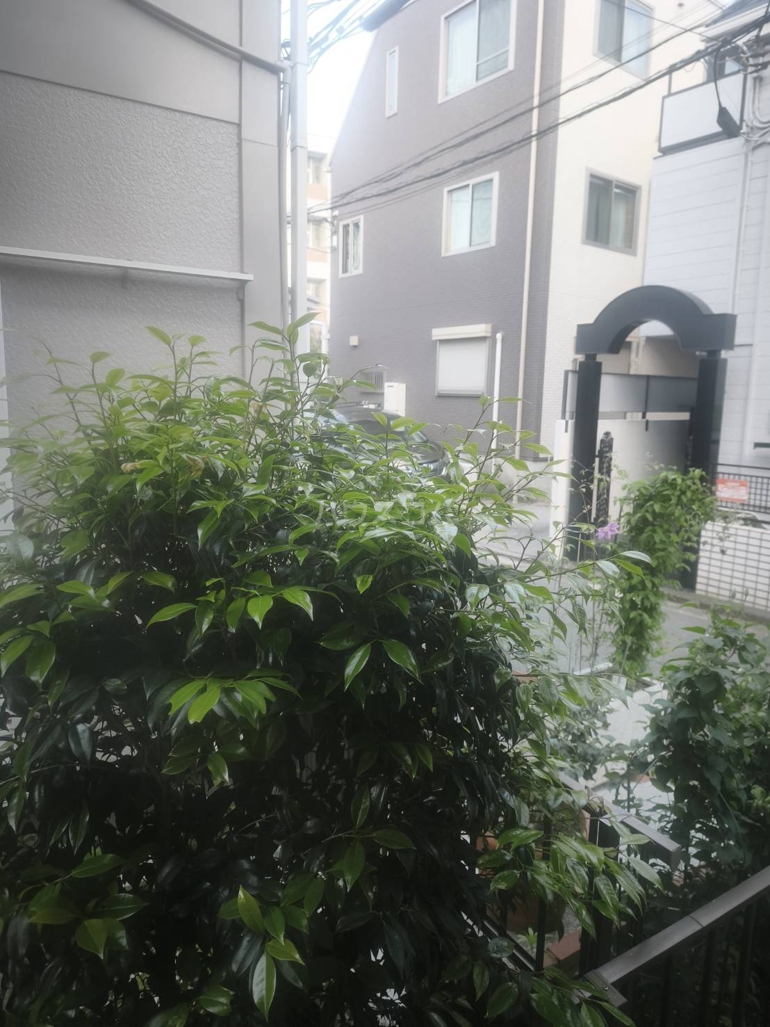 12/24 その他画像