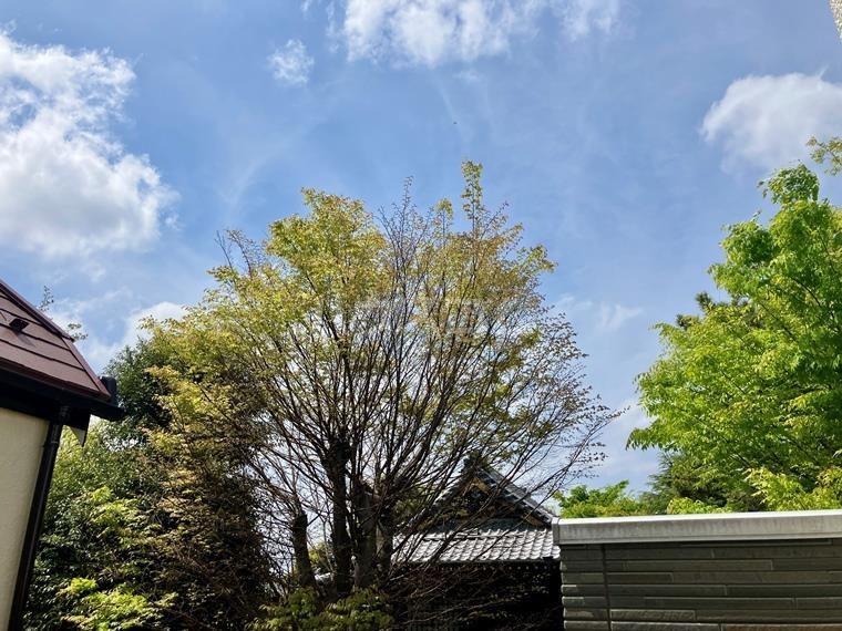 12/28 その他画像