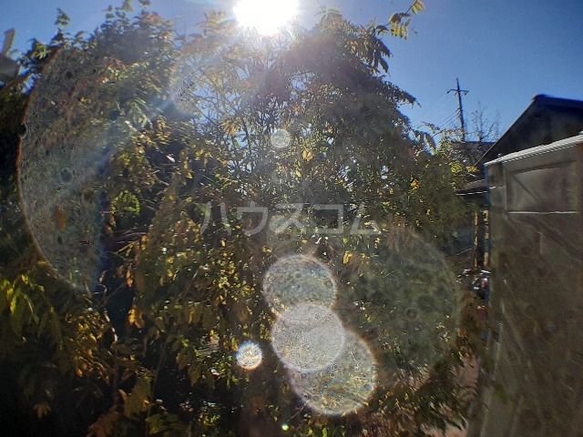 25/30 その他画像