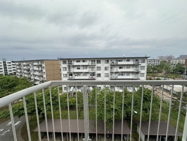 11/16 その他画像