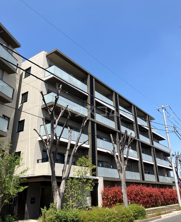 1/20 外観