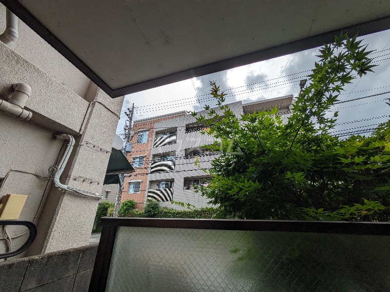 17/20 その他画像