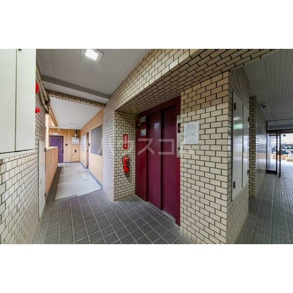 3/15 その他画像