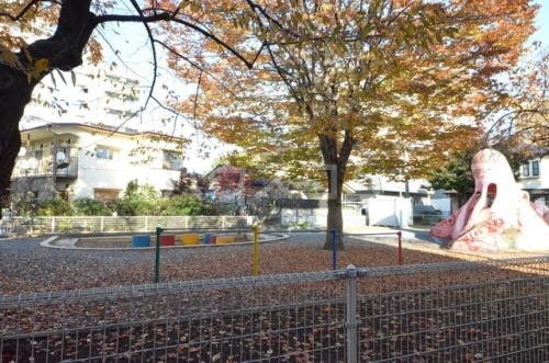 13/17 その他画像