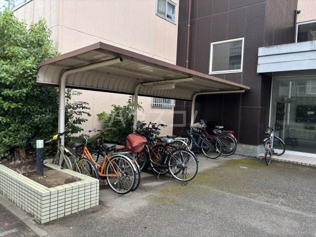 20/30 その他画像